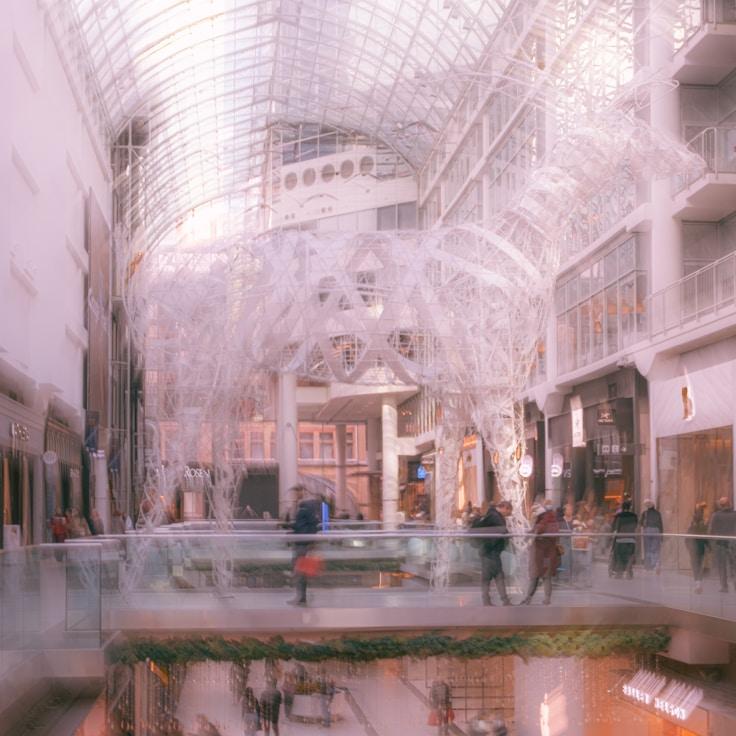 Dining out as an expat family in Italy